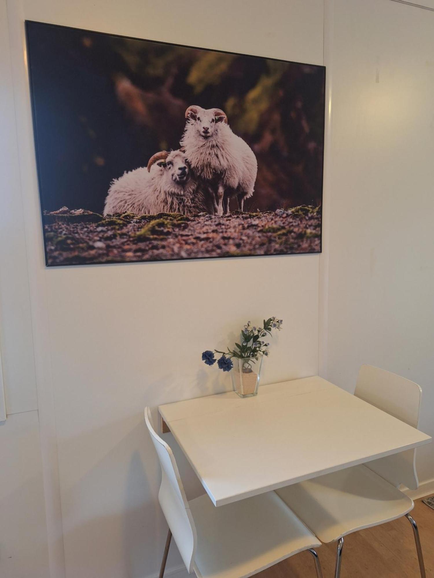 Solvellir Holiday Home Kjosahreppur Екстериор снимка